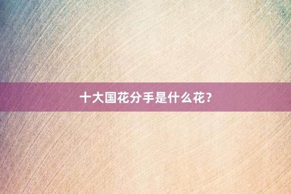 十大国花分手是什么花？